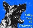 Salty Dog K9 Training