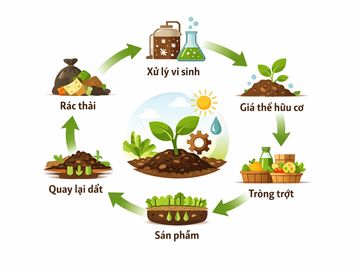 Chu trình sản xuất nông nghiệp hữu cơ từ rác thải đến sản phẩm.