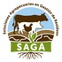 SAGA