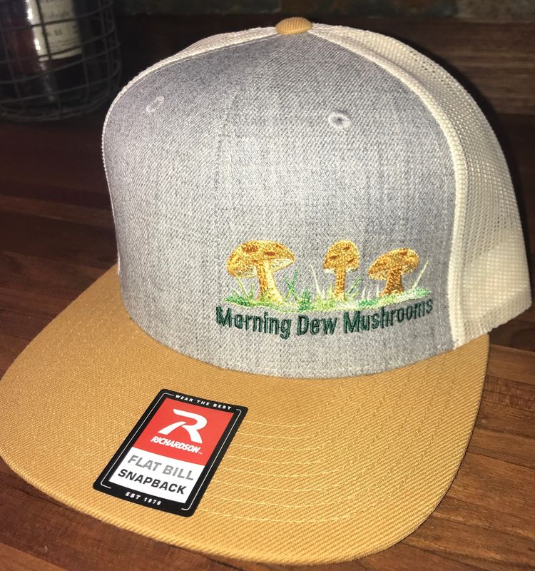 Morning Dew Snapback trucker hat