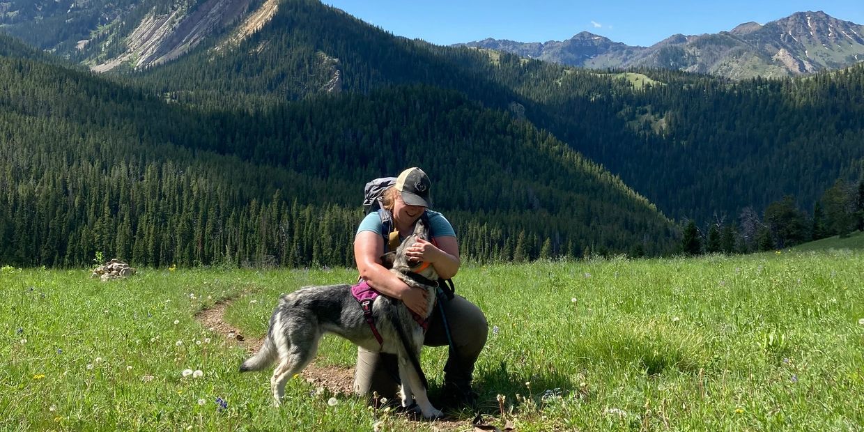 Dog training in Helena, MT
Dog adventure training
Dog obedience training
E-collar training
