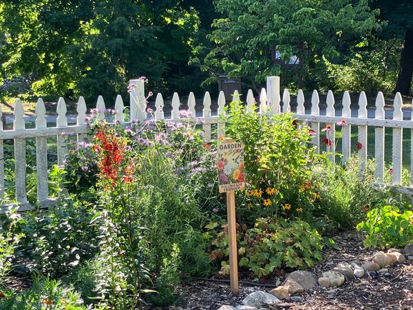 Pollinator Garden