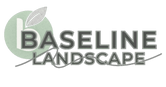 Baseline Landscape