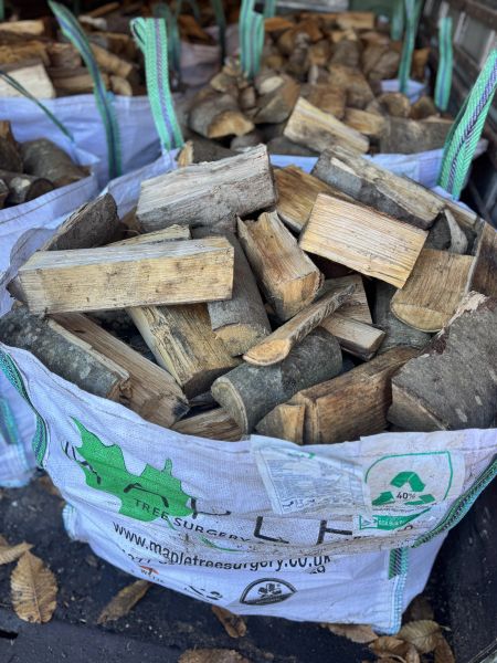 Sweet Chestnut Logs