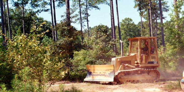 Bulldozer at work in a forest clearing.