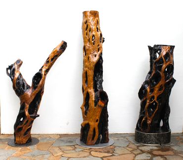 Unique wooden sculpture made naturally by the Australian outback & Rare Exotic Treasures 