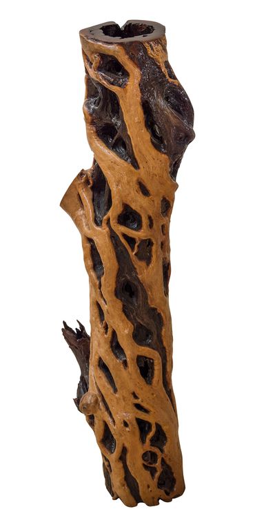 Unique wooden sculpture made naturally by the Australian outback & Rare Exotic Treasures 