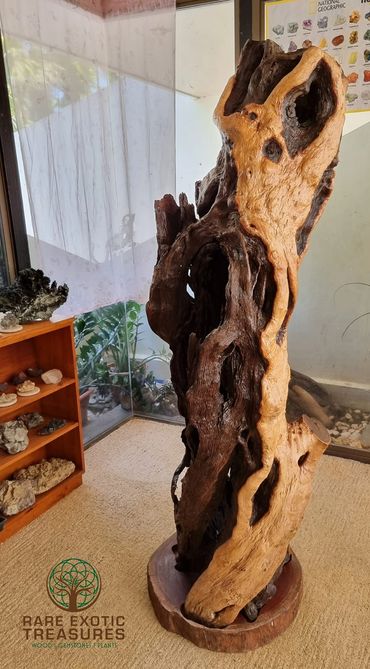 Spectacular Wood Sculpture by Rare Exotic Treasures