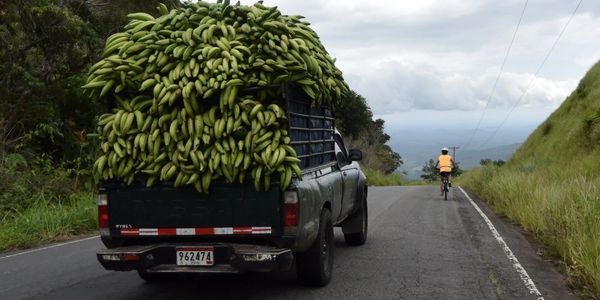 Costa Rican life