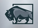 Minnetonka Roofing Contractor