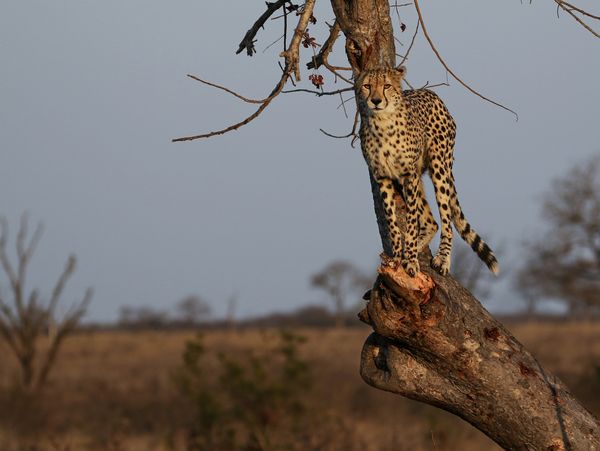 Your next adventure starts here.