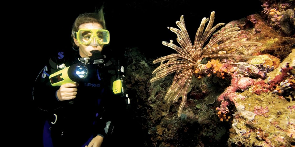 Scuba diver doing Night diving in Anilao batangas