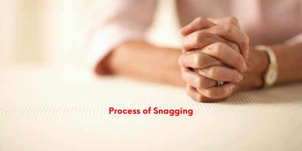 Process of snagging survey