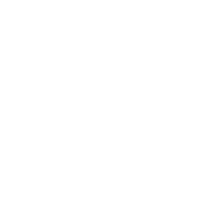 EduVera Consulting Firm