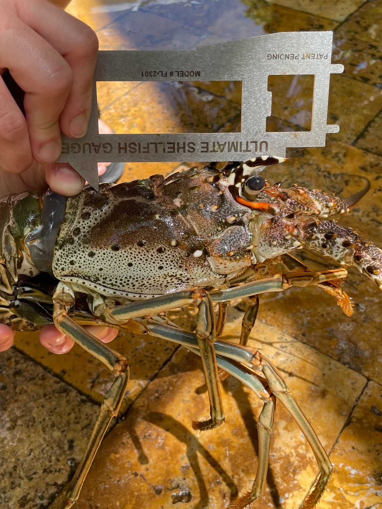 593433_5