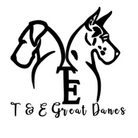 T & E Great Danes