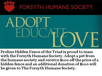 proline hidden fence