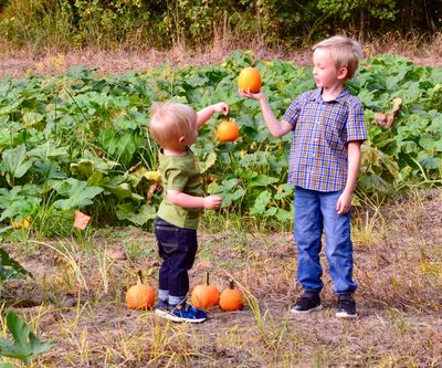 Two children holding pumpkins in a pumpkin patch.