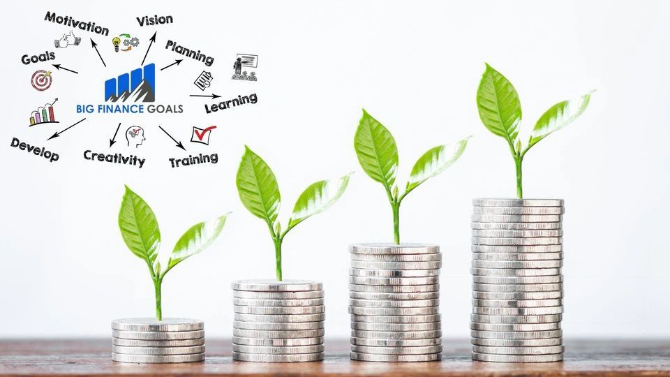 Coins that are stacked with plants on top that are gradually growing to signify big finance goals.