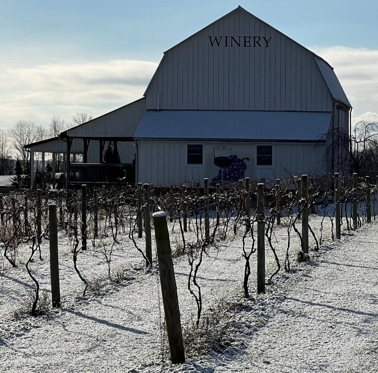 Izzo’s White Barn Winery 2024