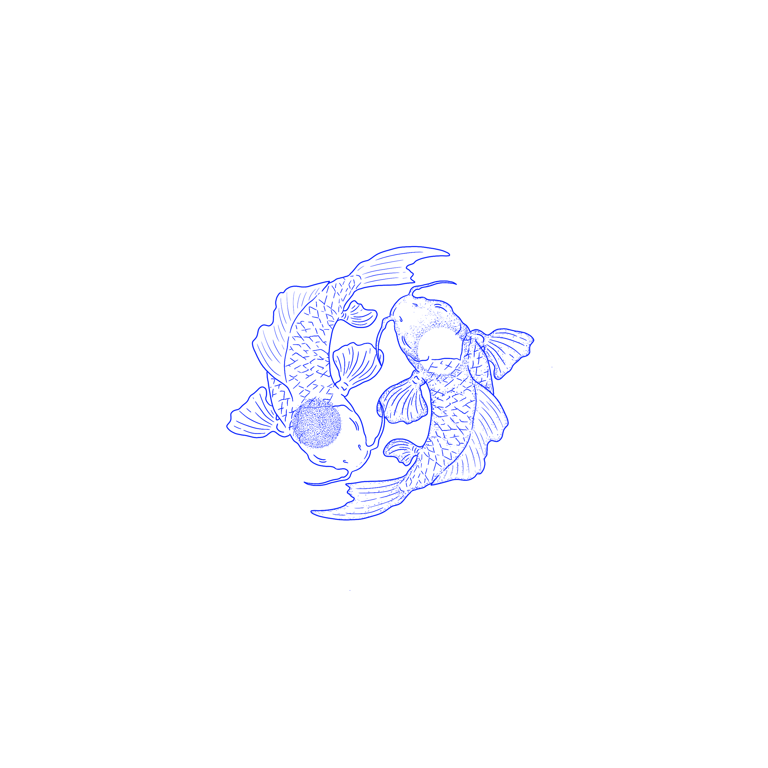 lacunae-define