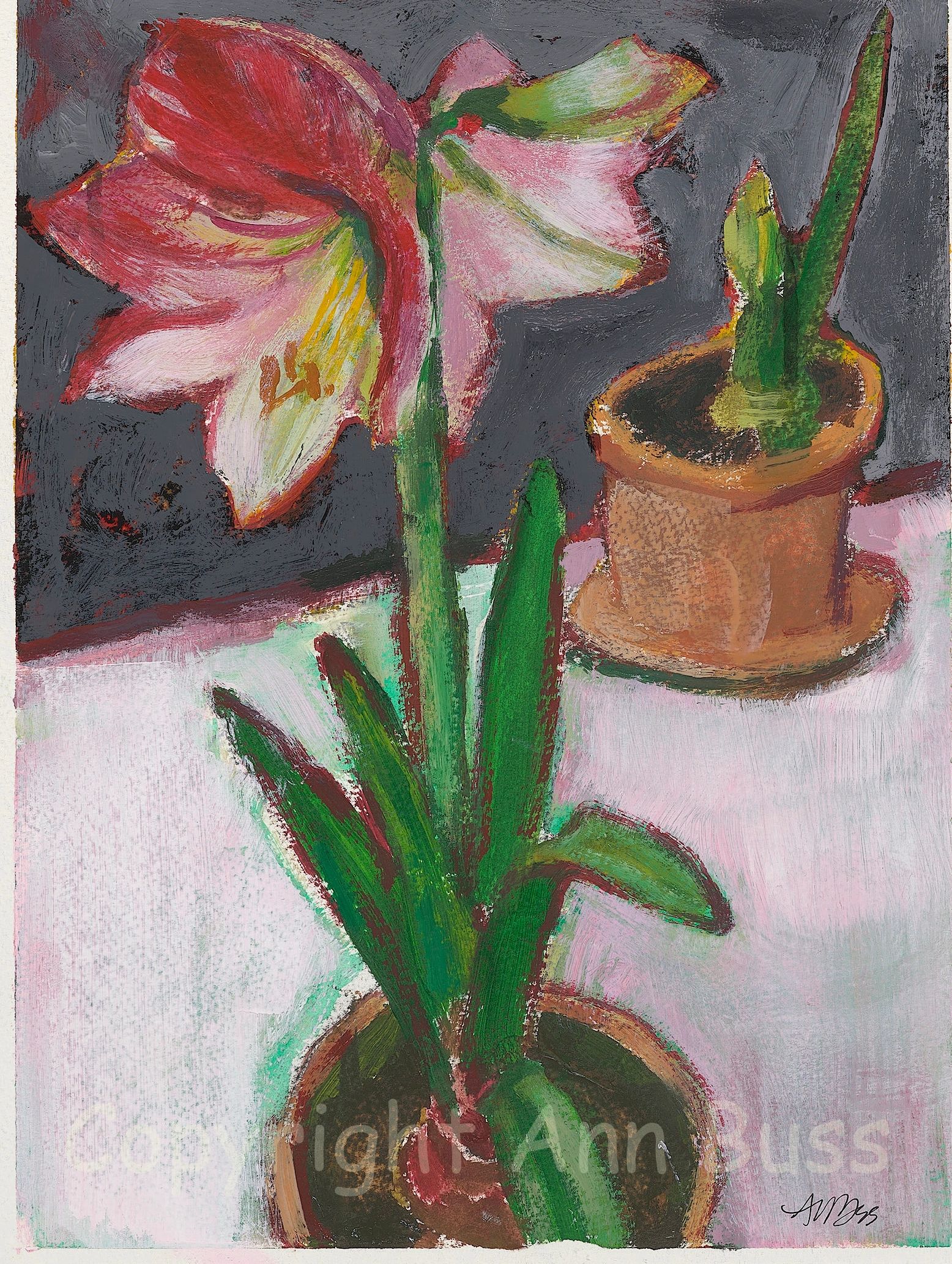 A vibrant painting of a red and white amaryllis flower in a terracotta pot.