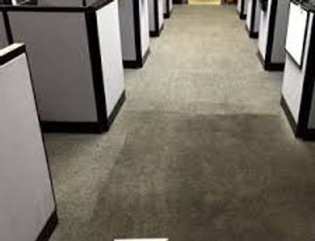 A carpeted office hallway lined with cubicles on both sides.