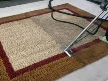 Carpet being professionally cleaned with a steam cleaner.