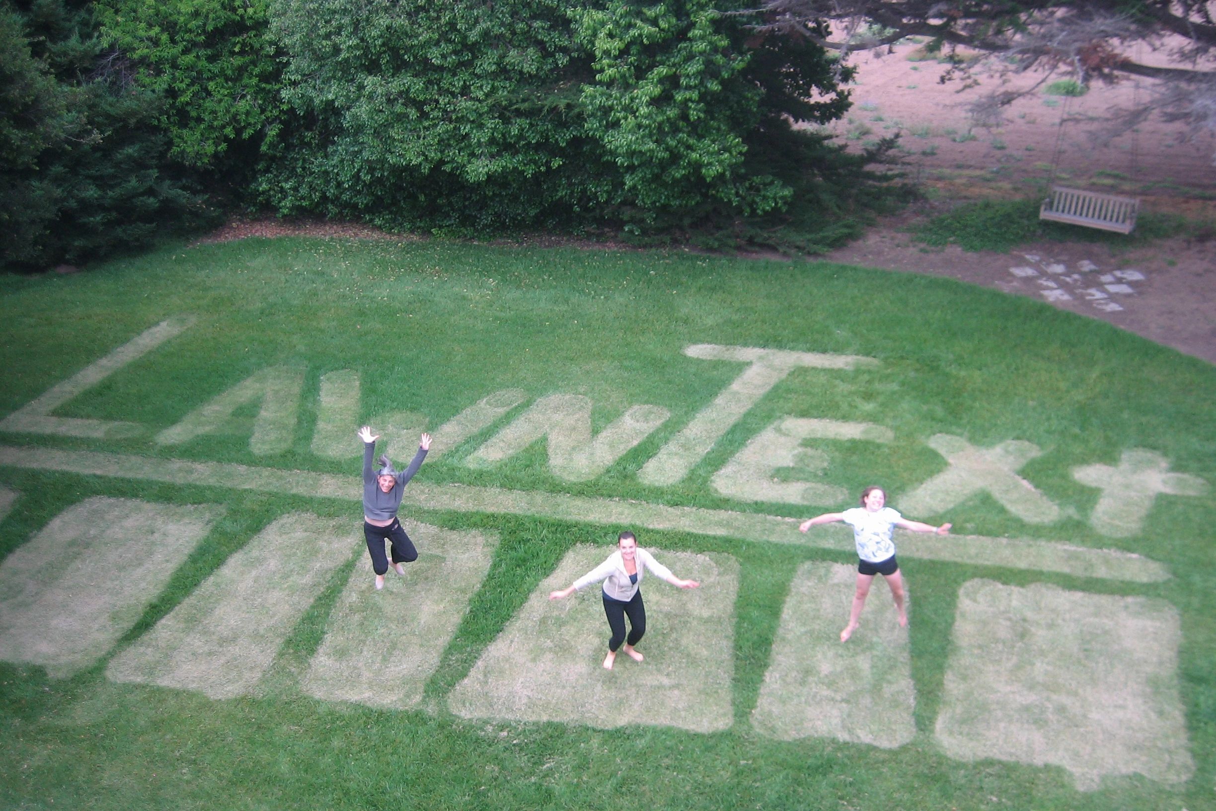 LawnText_2.jpg