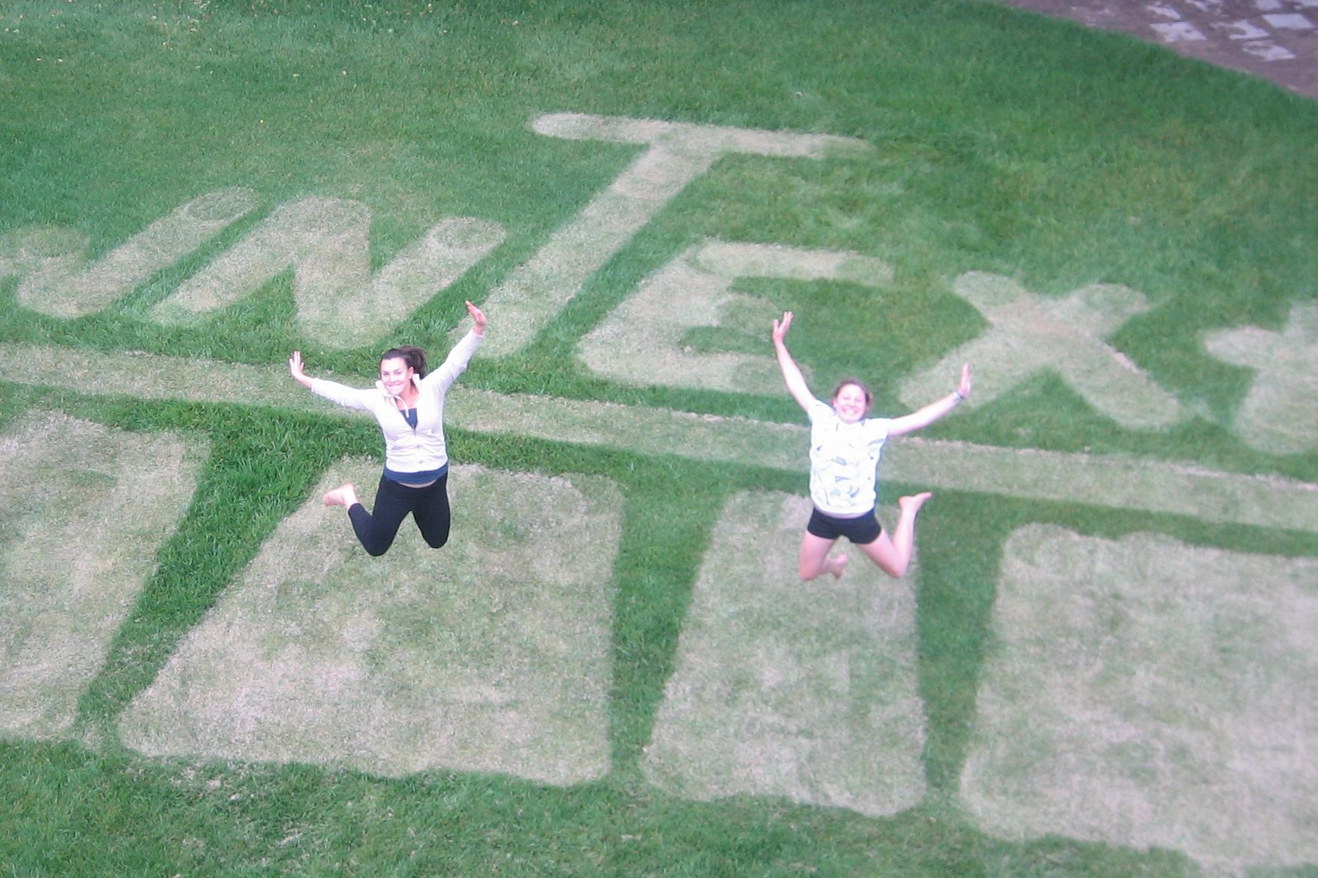 LawnText_3.jpg