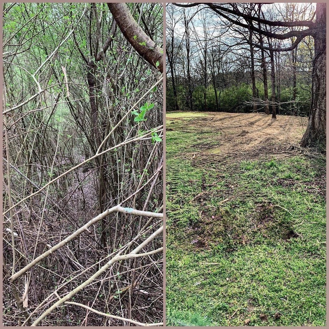 land clearing and mulching
