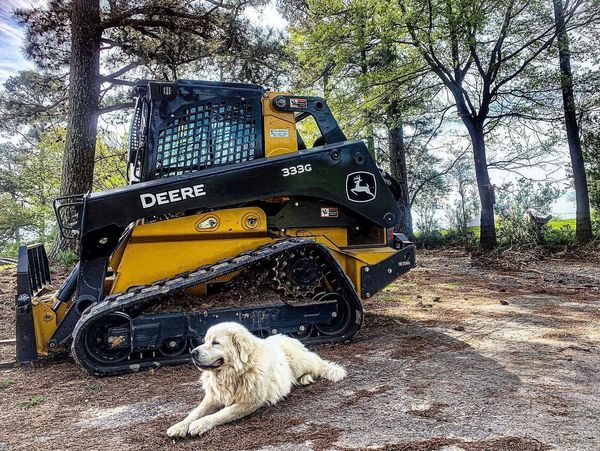 skid steer, mulching, and land clearing