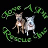 Love A Pit Rescue
