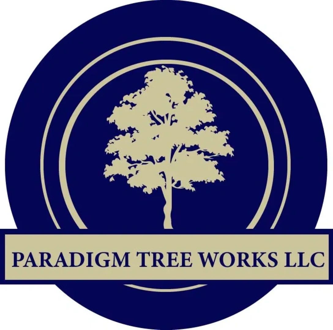 Professional Tree Company Offering Expert Tree Removal Services