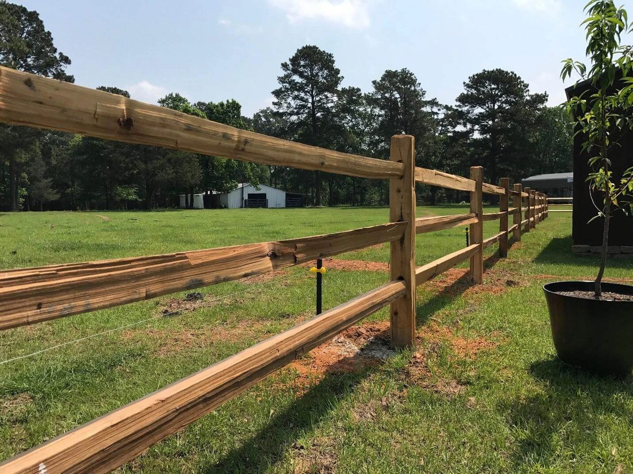 Why Use Cedar Fencing in Houston, Texas?