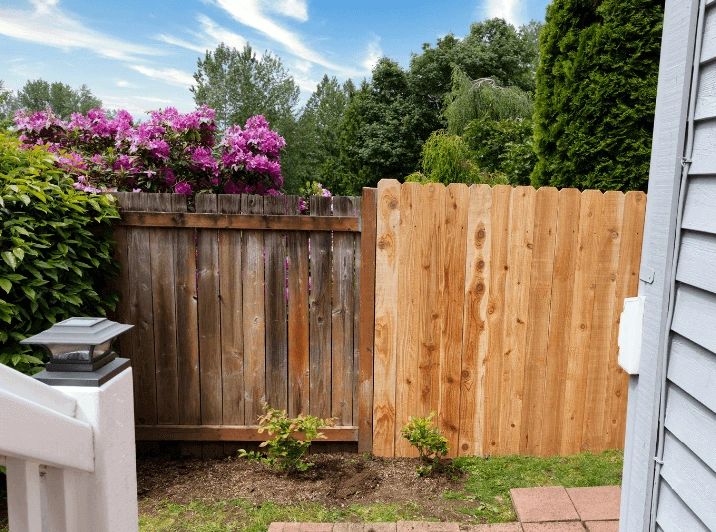 Why Use Cedar Fencing in Houston, Texas?