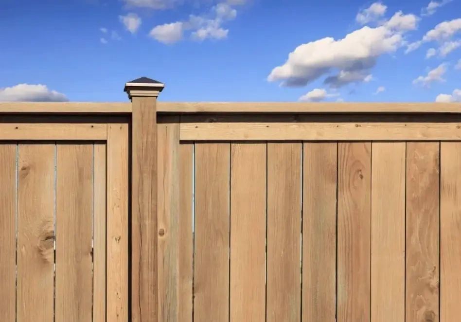 Why Use Cedar Fencing in Houston, Texas?