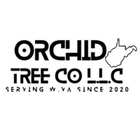 Orchid Tree Co. 
