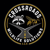 Crossroads Wildlife Solutions