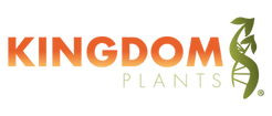 Kingdom Plants