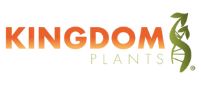Kingdom Plants
