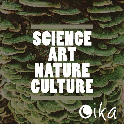 The most friction-free way to introduce Oika is to release it directly into the living artmosphere
