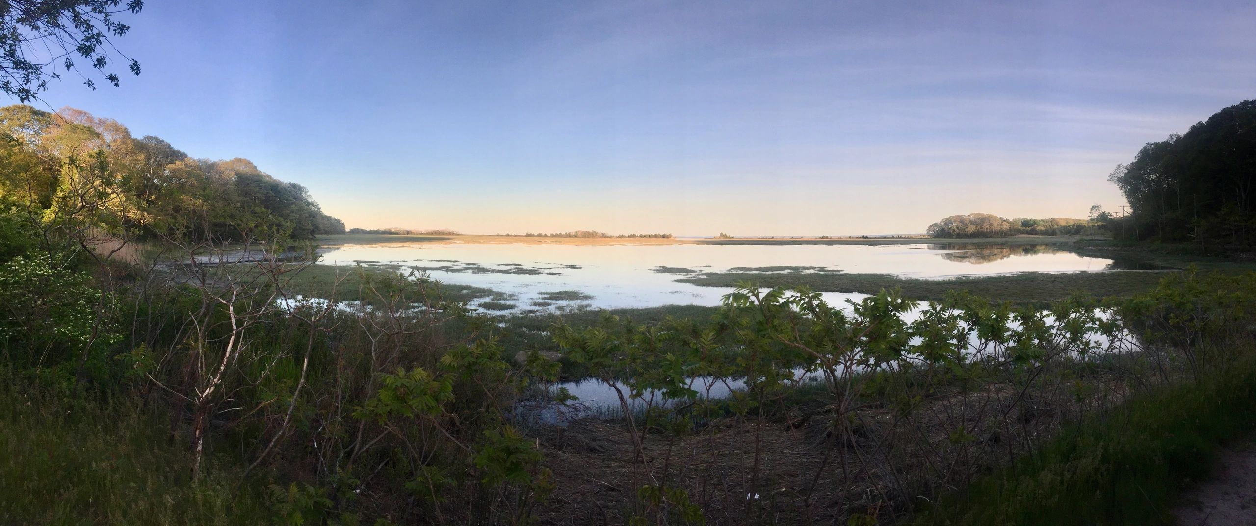 A serene lake surrounded by trees under a clear sky.
