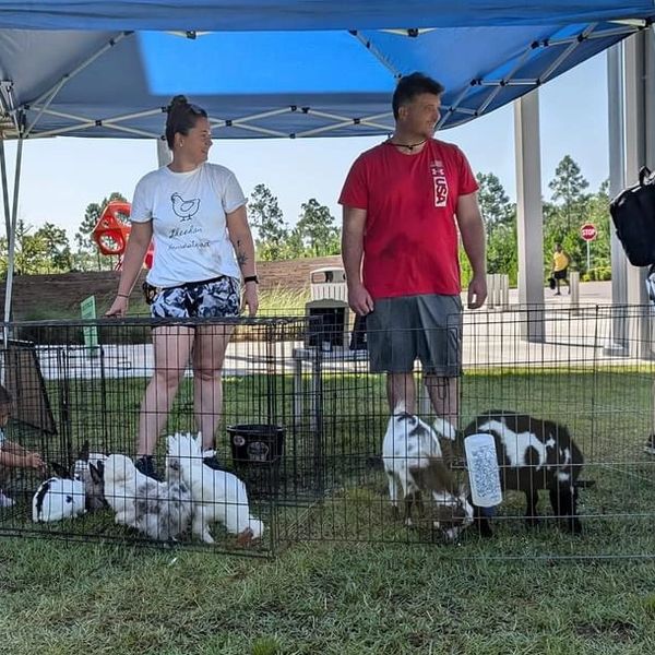 Mobile Petting Zoo Setup