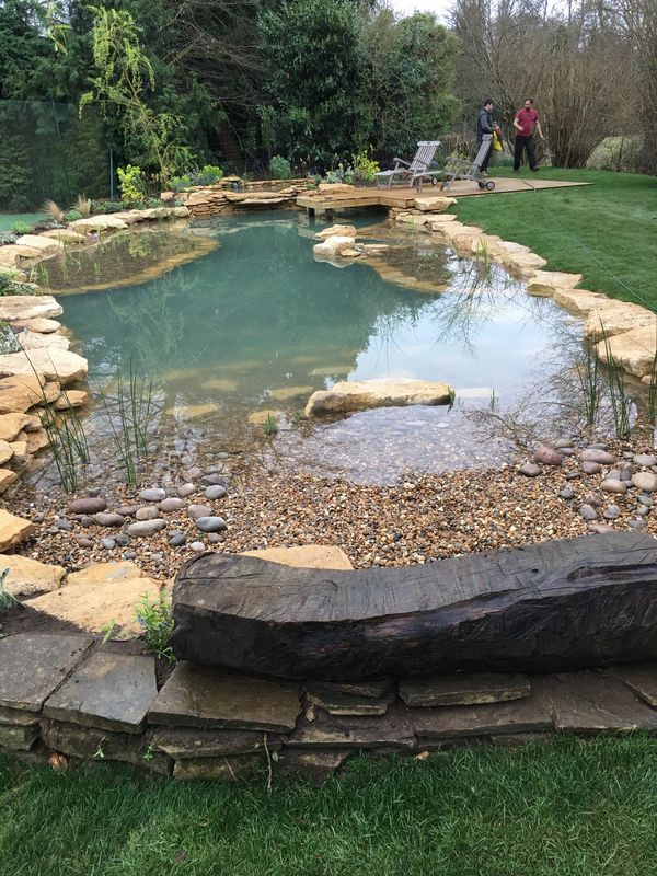 Pond Landscaping Services - T&C Group