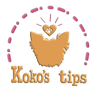 Koko’s tips