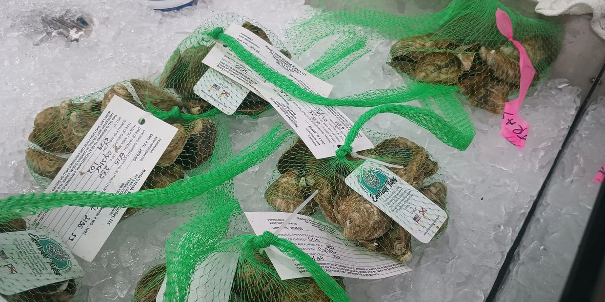 Green mesh bags of oysters on ice at a seafood market.