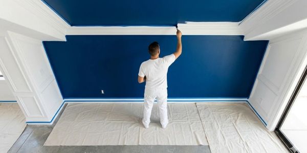 Premium painting. Walls and ceilings. Commercial and residential.