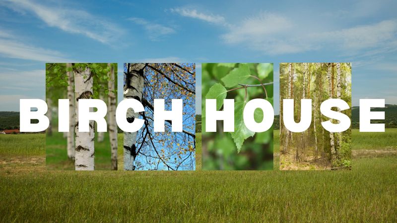 Website Banners (Website)-3.png