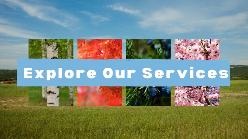 Website Banners (Website)-4.png